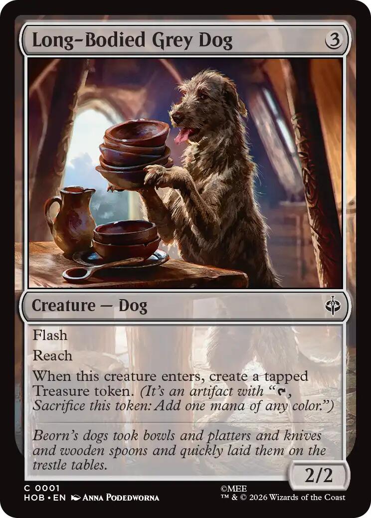 Long-Bodied Grey Dog