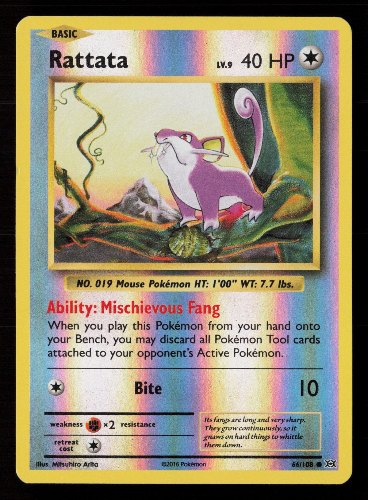 Rattata