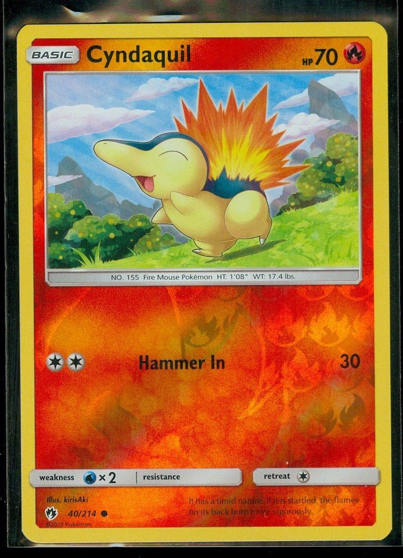 Cyndaquil (40)