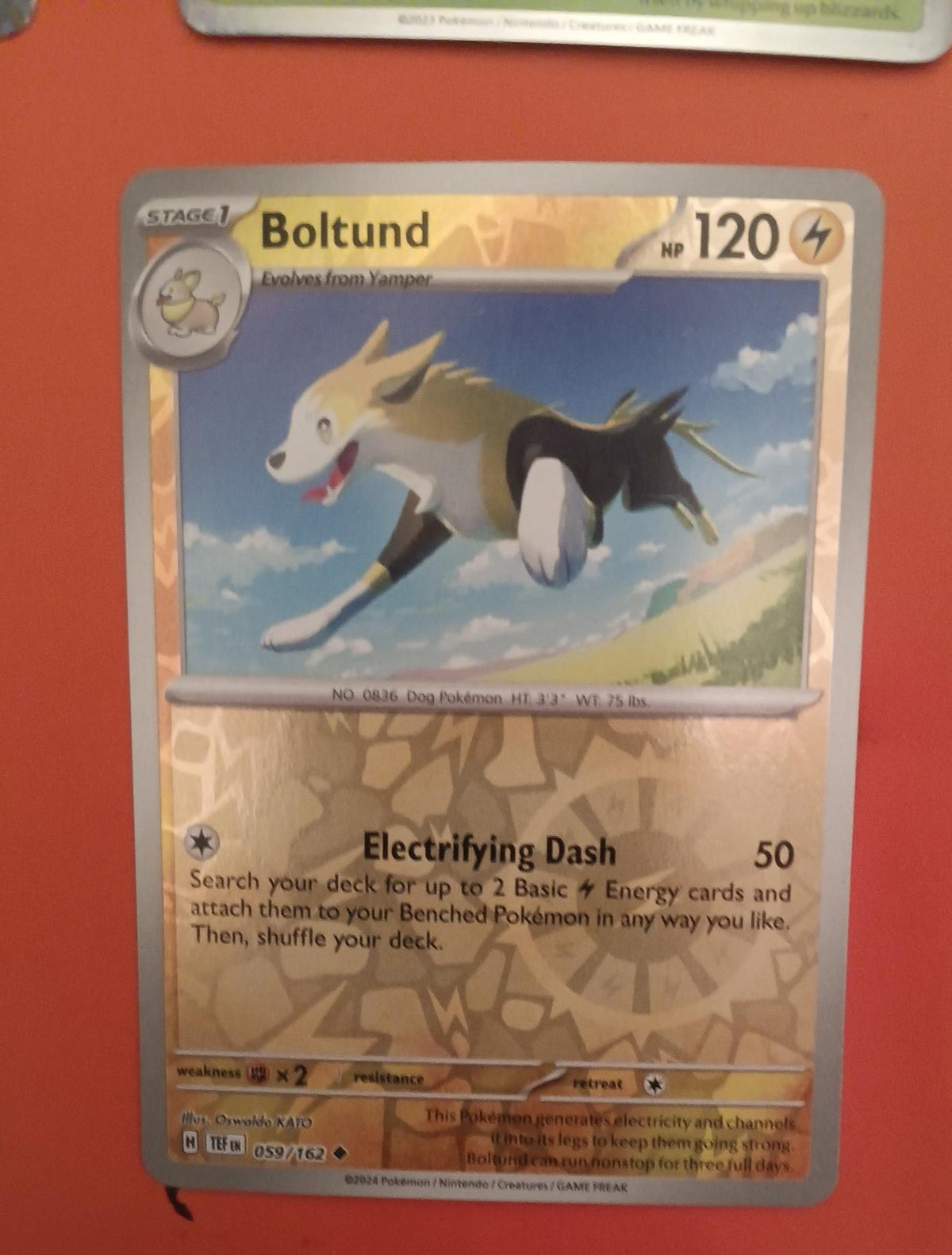 Boltund