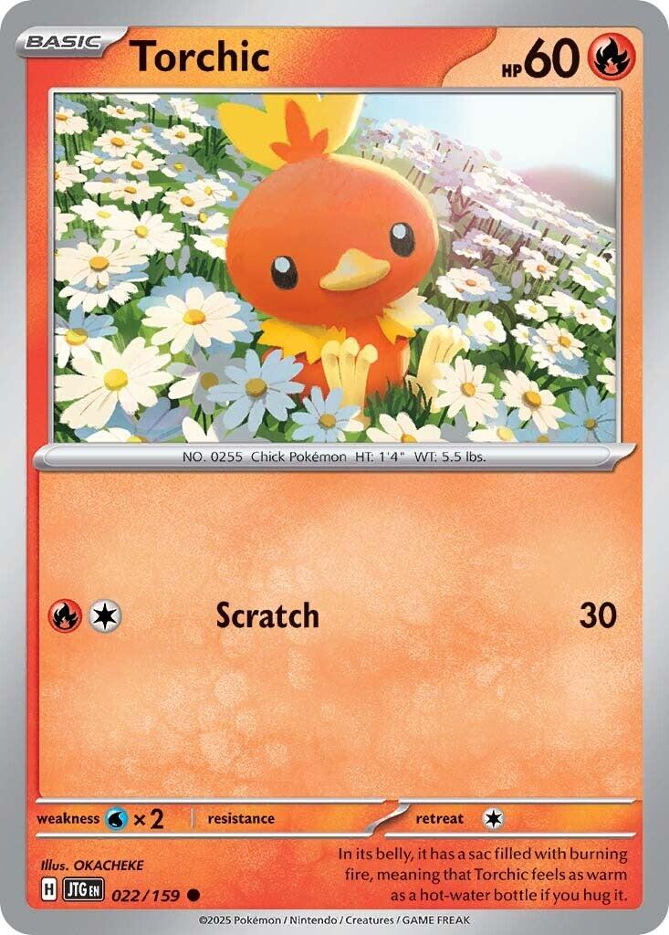 Torchic