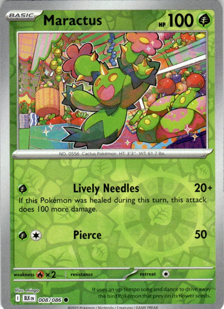 Maractus