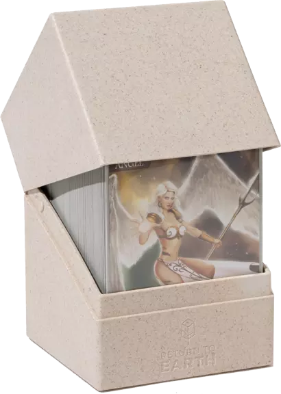 Boulder Return to Earth